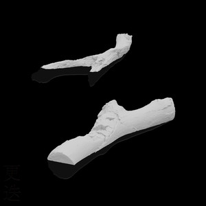 俄罗斯肥胖美女露屄片
